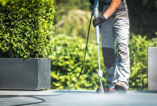 Best Pre-Holiday Cleaning  in West Falmouth, MA